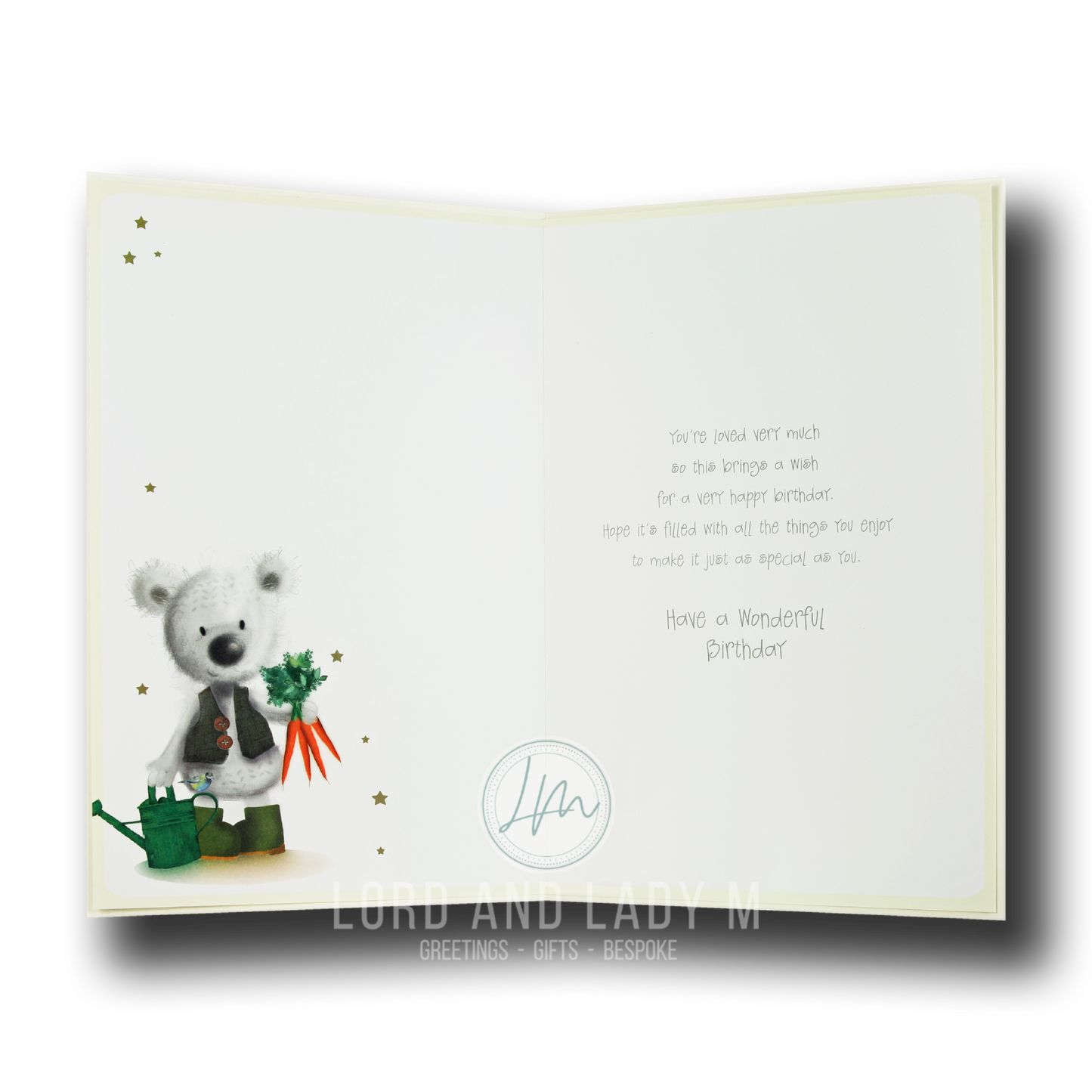27cm - To A Special Son You Really Are .. - Lge Let - DGC