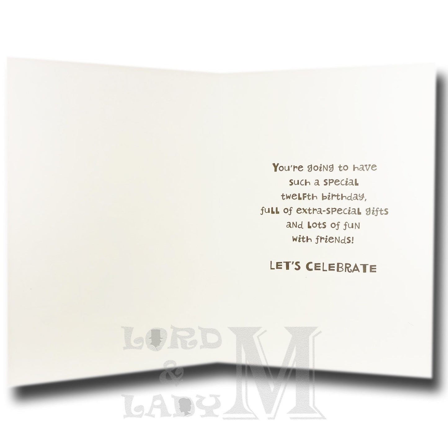 19cm - Today You're 12 - Girl Silver Details - E