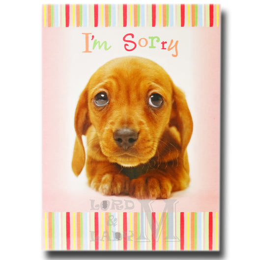 17cm - I'm Sorry - Cute Puppy - OH