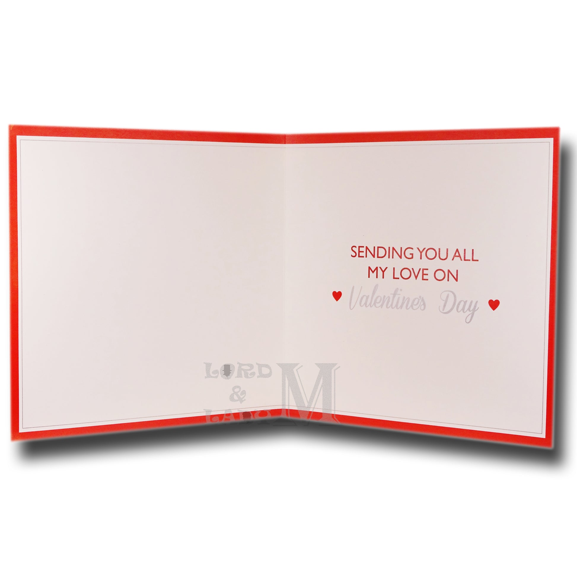 23cm Square - .. Wonderful Boyfriend - Lge Let - E