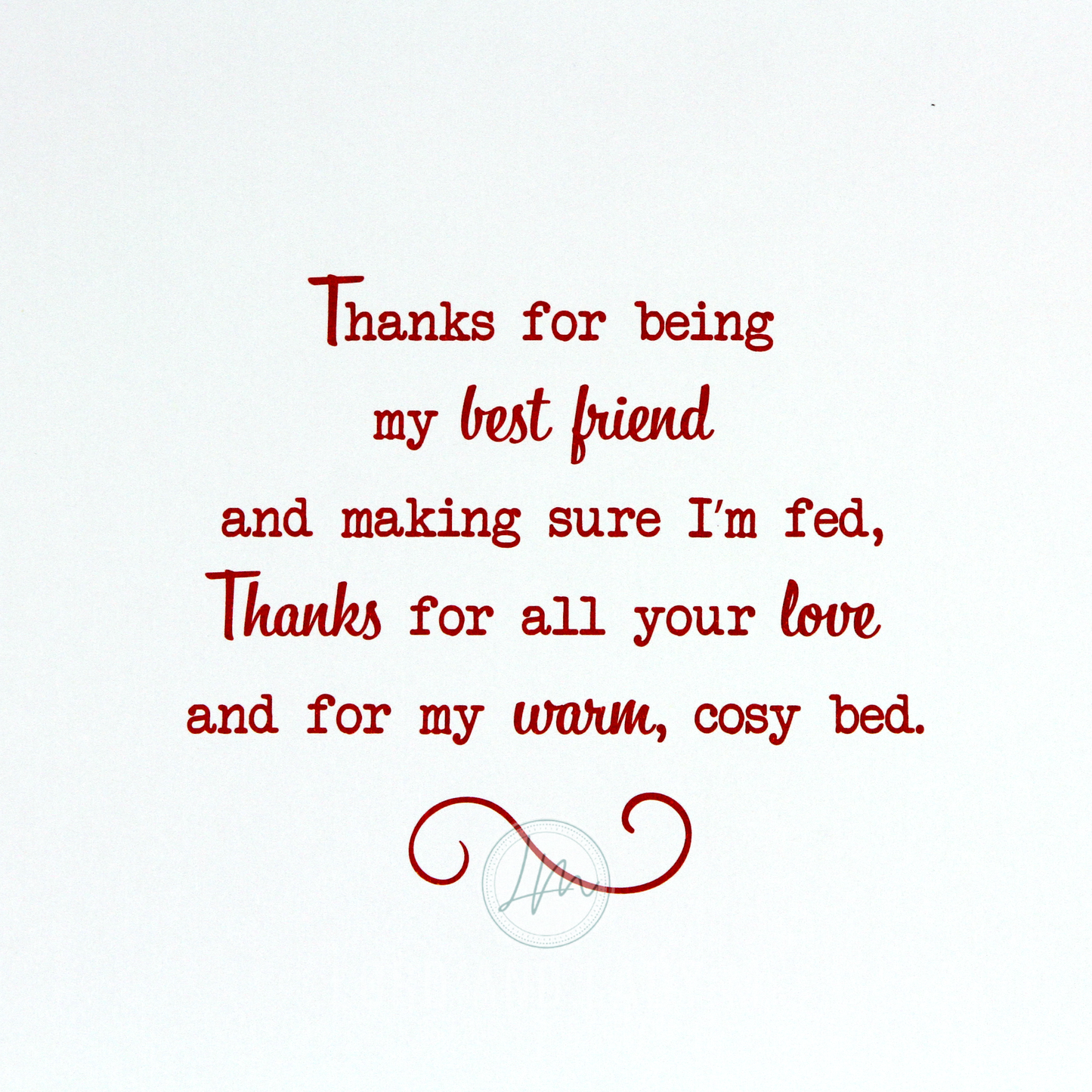 23cm - Special Wishes From The Dog We Have -Lge BG