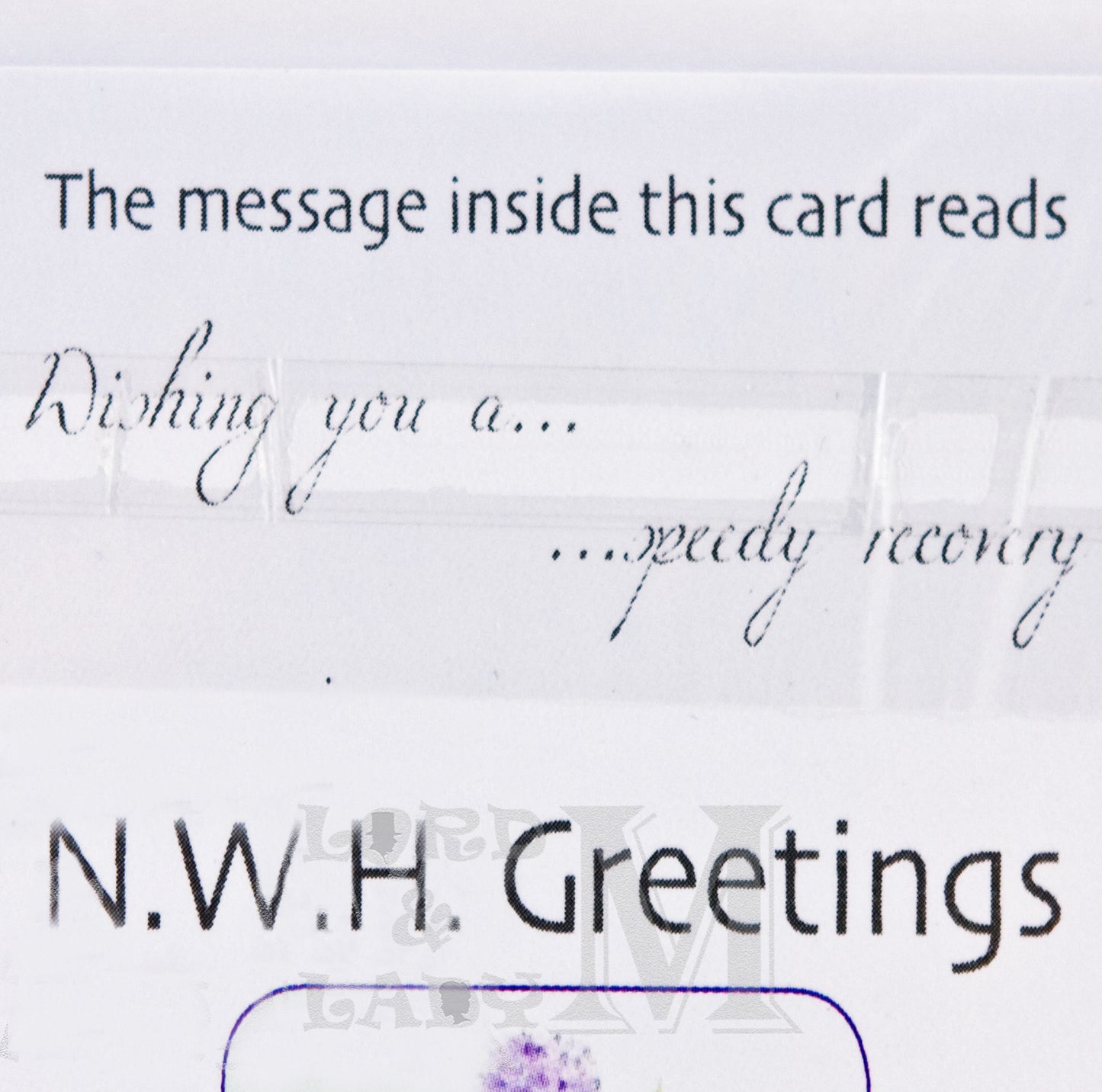 17cm - Get Well Soon Thinking Of You - Flowers