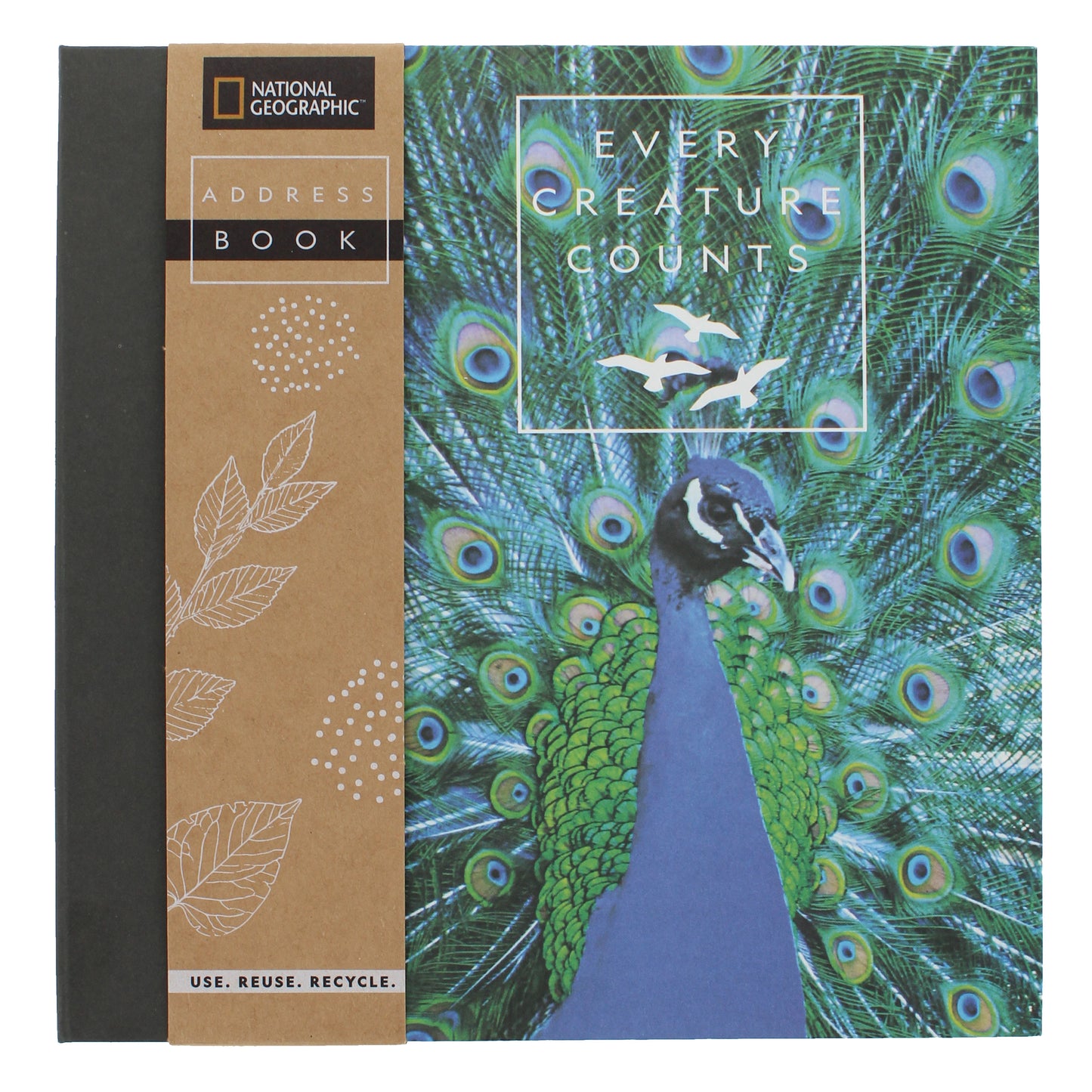 National Geographic Square Address And Birthday Book - Perfect Gift