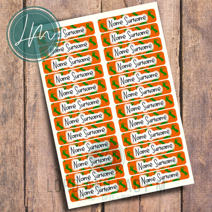 Vinyl Stick-on Name Labels - Orange Green Lizard