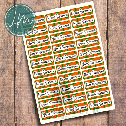 Vinyl Stick-on Name Labels - Orange Green Lizard