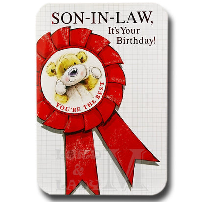20cm - Son-In-Law, It's Your Birthday! - E