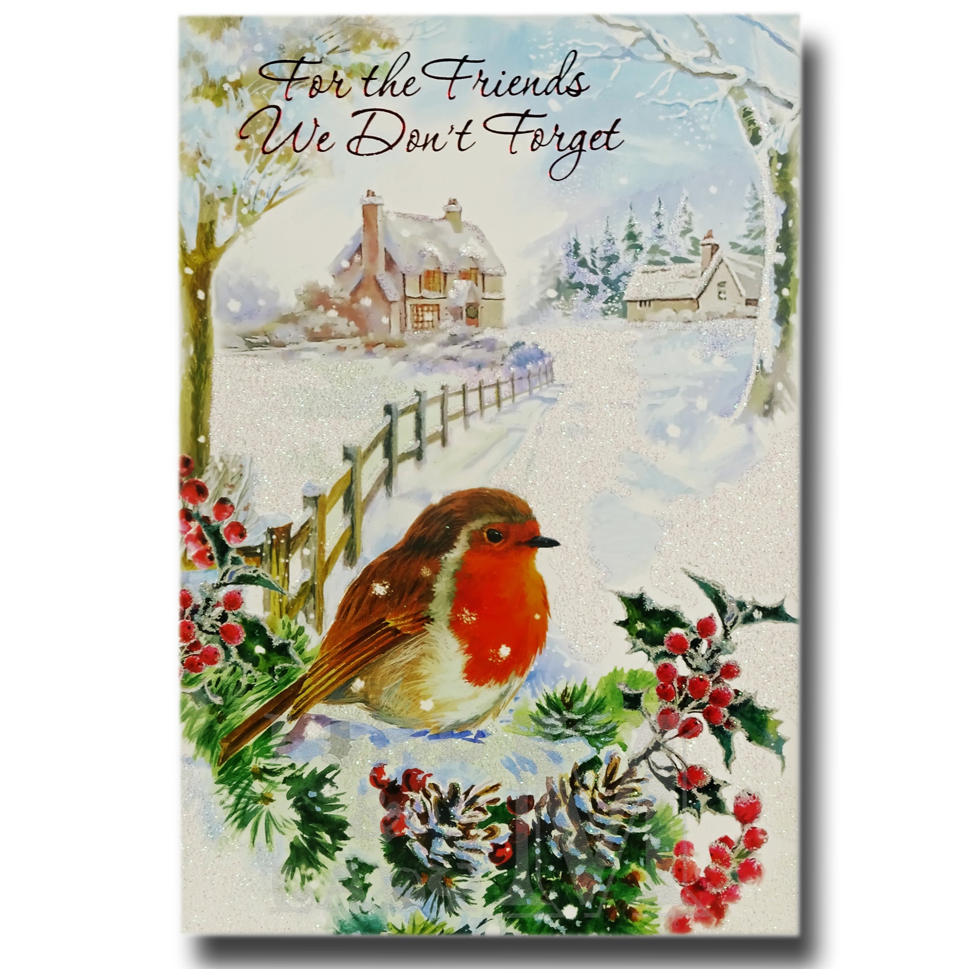 20cm - For The Friends We Don't - Robin Fence - E