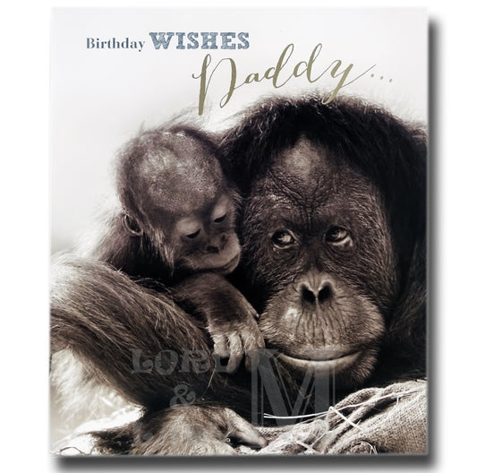 18cm - Birthday Wishes Daddy ... - 2 Apes - ASD