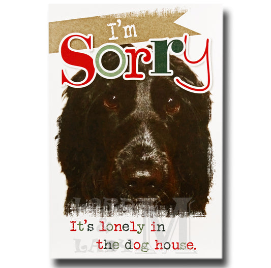 19cm - I'm Sorry It's Lonely In The Dog House - BG