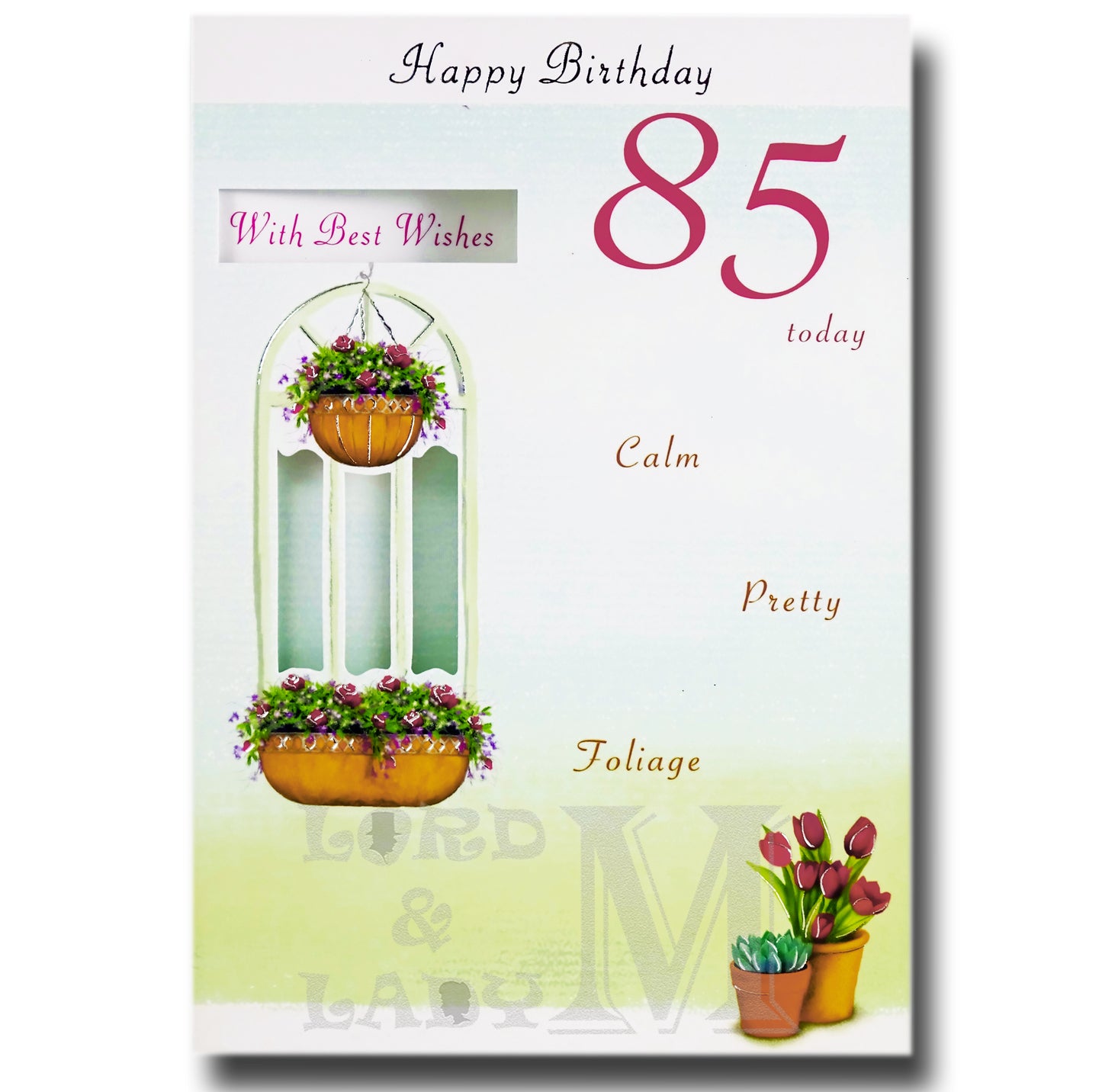 19cm - Happy Birthday 85 Today - CWH