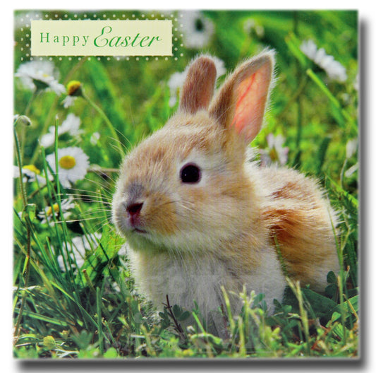 13cm - Happy Easter - Bunny Rabbit