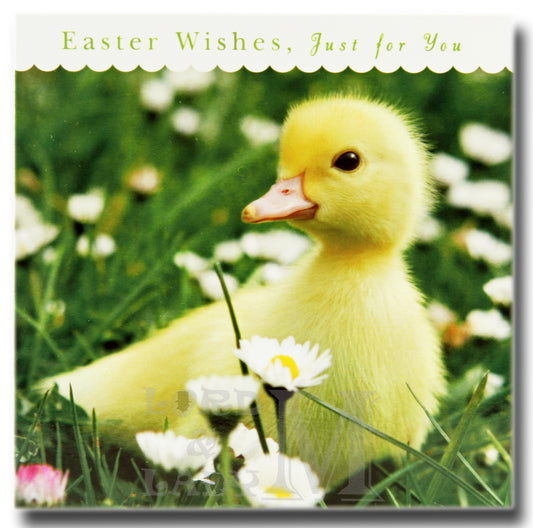 13cm - Easter Wishes, Just For You - Duckling